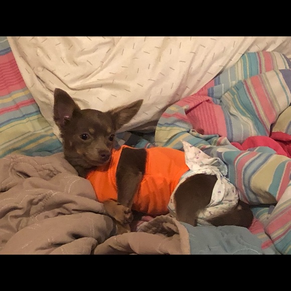 Meet your Posher, Marisol - Picture 1 of 1